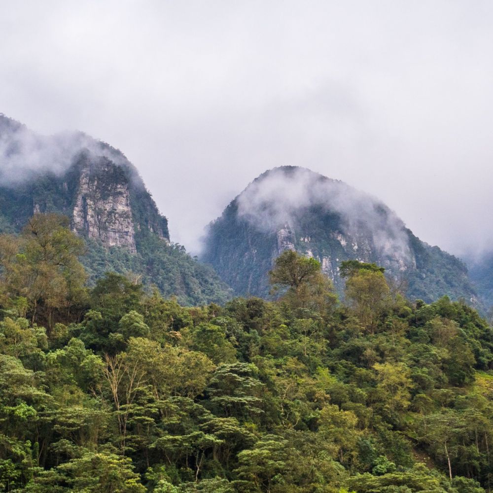 Mist drifting over forested mountain cliffs